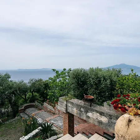 Sofia - Italian Escape * Massa Lubrense